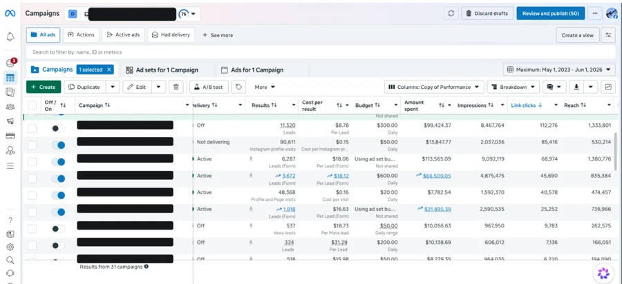 The client's ad campaigns, campaign names hidden